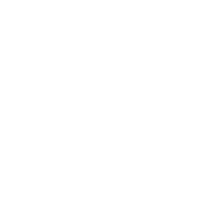Signet Strategies